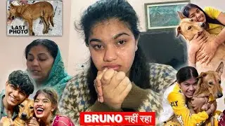 Bruno अब इस दुनिया में नहीं रहा😭 क्या हुआ था Bruno को😱 Last Photo🥺