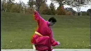 praying mantis boxing part 3 of 4