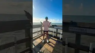 Got 47 sharks did not film them all#fishing  #47 #fish #sharks