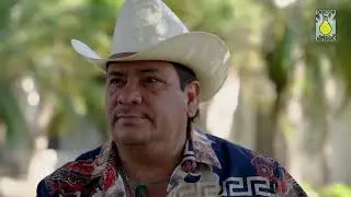 Son Habladas - El Tigrillo Palma (Video Oficial)