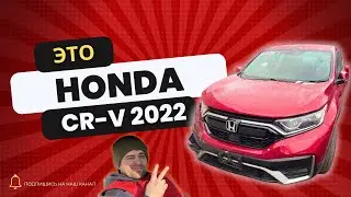 HONDA CR-V 2022 ПРЯМИКОМ ИЗ США В РОССИЮ