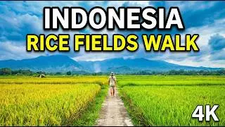 Walking in Indonesia: Friendly Locals & Village Life 🇮🇩
