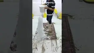 The most beautiful asmr carpet cleaning short video