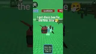 i got disco bee 🤧 #roblox #fruitdisplay #susano
