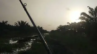 Sambaran yang mendadak!!