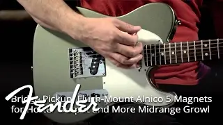 Fender Custom Shop Blackguard Telecaster Pickups | Fender
