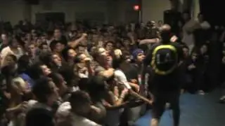 Rotting Out - Sound and Fury 2009