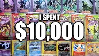 I Spent $10,000 on a Pokemon Card Collection