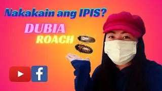 Nakakain ang IPIS? | ISETv