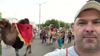 ЦИРК 🎪 КАРНАВАЛ #цирк🐢🎪💃🧿