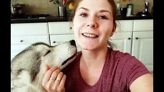 VLOGSTER pieskie życie - moja pasja