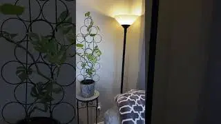 Amazon Smart Plug Review