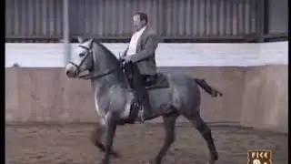 Tráiler Curso FICE Alta Escuela