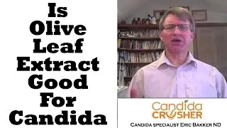 Can Olive Leaf Exttact Get Rid Of Candida?
