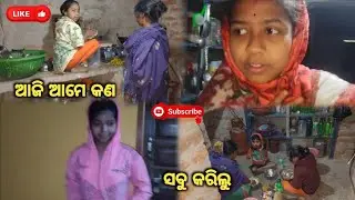 ଆଜି ଆମେ କଣ ସବୁ କରିଲୁ।। odia family vlog ❤️ Nandini Chandini vlog 👍