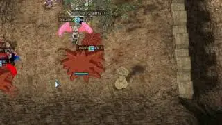 Ragnarok FansRO - Spirit of InsanitY 2