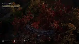 Bug zoisme ACO 1.07