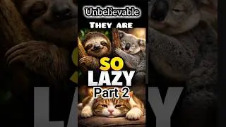 Unbelievable Laziest Animal Part 2 | Weird Facts | #usashorts #shorts #facts #us #trending
