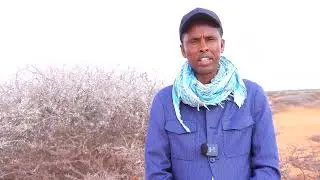 Abaar saamaysay Dadka iyo duunyada oo ku dhifatay Deegaano iyo degmooyin ka tirsan Gobolka Mudug.