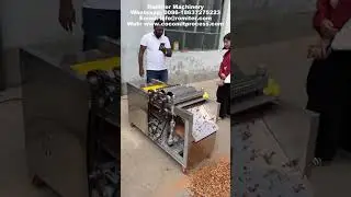 Automatic Coconut Husk Cube Cutting Machine for Planting Earth