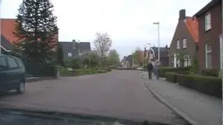 Elshout