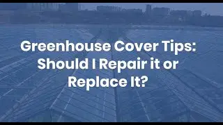 Greenhouse Cover Tips: Should I Repair it or Replace It? | Americover