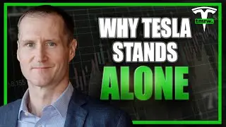 Tesla Bear's Shocking CONFESSION: Competitors Can't Keep Up!