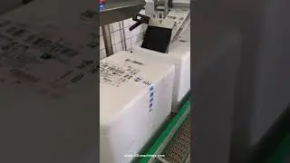 Fresh food box case carton top real time printing labeling machine