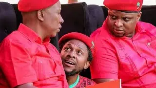 EFF leader collapses Ekurhuleni municipality 🇿🇦