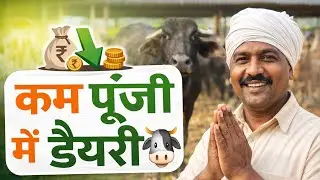 कम पूंजी में डेयरी फार्म कैसे शुरू करें | 5 पशु डेयरी से मुनाफा|DairyFarming #गांव में डेयरी व्यवसाय