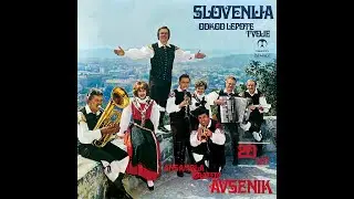 Ansambel bratov Avsenik - Megle v kotanjah