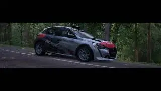 002W. Assetto Corsa Rally OUT [Rally] - 208 Rally4, Alsace - Saverne (Foret Complete)