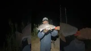 Кипер Красная рыба на креветках, поехали 🔥🔥🔥 #рыбалка