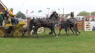 Horse four-in-hand obstacle driving, George Bowman