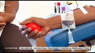 Recherche : un nouveau traitement contre la drépanocytose
