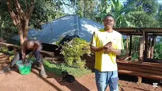 Life in the village in Kenya Africa// looking for the veterinary to check on our goat