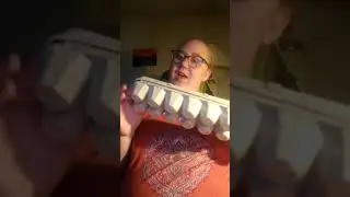 Egg Carton Animals