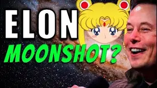 Should You Buy SaylorMoon Token? (NEW COIN) Does this coin have the Elon Magic?