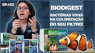 BIODIGEST - Bactérias VIVAS para aquários de água doce e salgada!