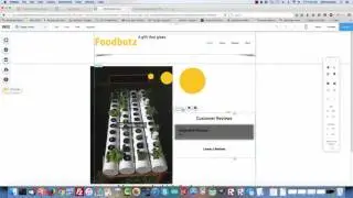 Customer Review App