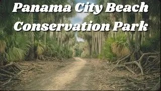 60 Second Hikes - Panama City Beach Conservation Park