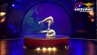 8th Circo Massimo - The Complete Series - Trailer HD (by Finzioni Entertainment)
