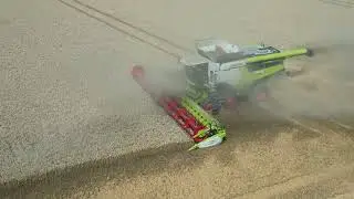 Clenchwarton /Kings Lynn ,norfolk, love norfolk, up above sky high,Este Anglia, Claas Lexion 8900