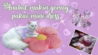 MEMBUAT BAJU KUCING RAJUT