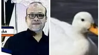 حلم البط في المنام المطبوخ والحي الضعيف والسمين