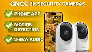 POV: Your Pet Camera Just Caught Something You Didn't Expect