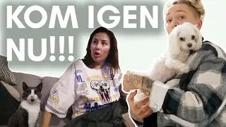 TANJA P&Aring; BES&Ouml;K & EN VANLIG EFTERMIDDAG |  VLOGG 05