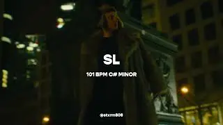 [БЕСПЛАТНО] Тип ордера на арест &mdash; &laquo;SL&raquo;