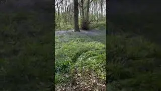 Daily Vlog TikTok Concord Park Sheffield #shorts #tiktok #sheffield #unitedkingdom