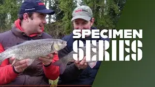 Winter Chub Fishing Tips & Tactics